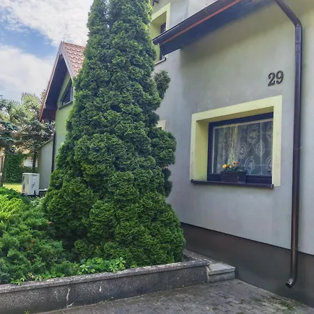Ostrowo 29 Jezioro Powidzkie 普利兹布洛德曾