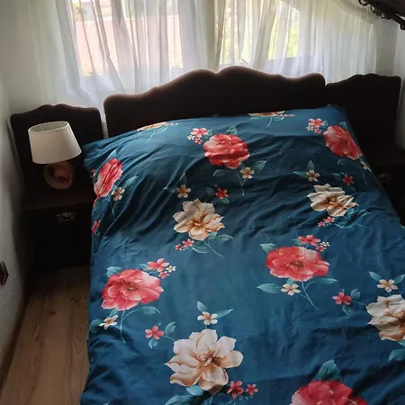Ostrowo 29 Jezioro Powidzkie * 普利兹布洛德曾